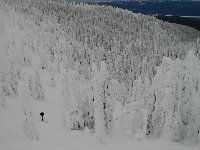 Hellroaring Canyon in the pow