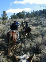 We took a horseback ride in the High Sierras