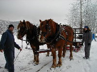 Tina and I went on a sleigh ride with Whistler Outdoor Experience Co.
