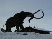 Dave McCoy's Mammoth Mountain