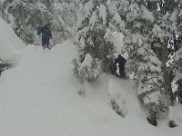 Ken, Tim, and a Steven's Pass patroller watching as Eric skis a fresh trail out of bounds at Steven's Pass