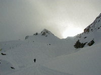 Blackcomb Light